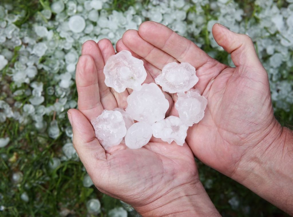 a handful of hail.