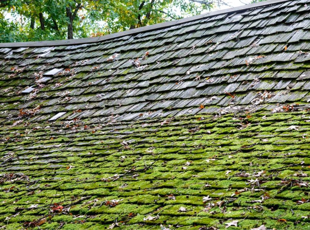 a sagging roof with molds.