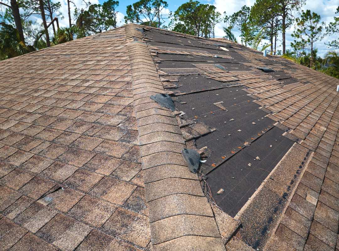 Shingles Ripping Up or Ripped Off by Wind - CMW Roofing & Siding