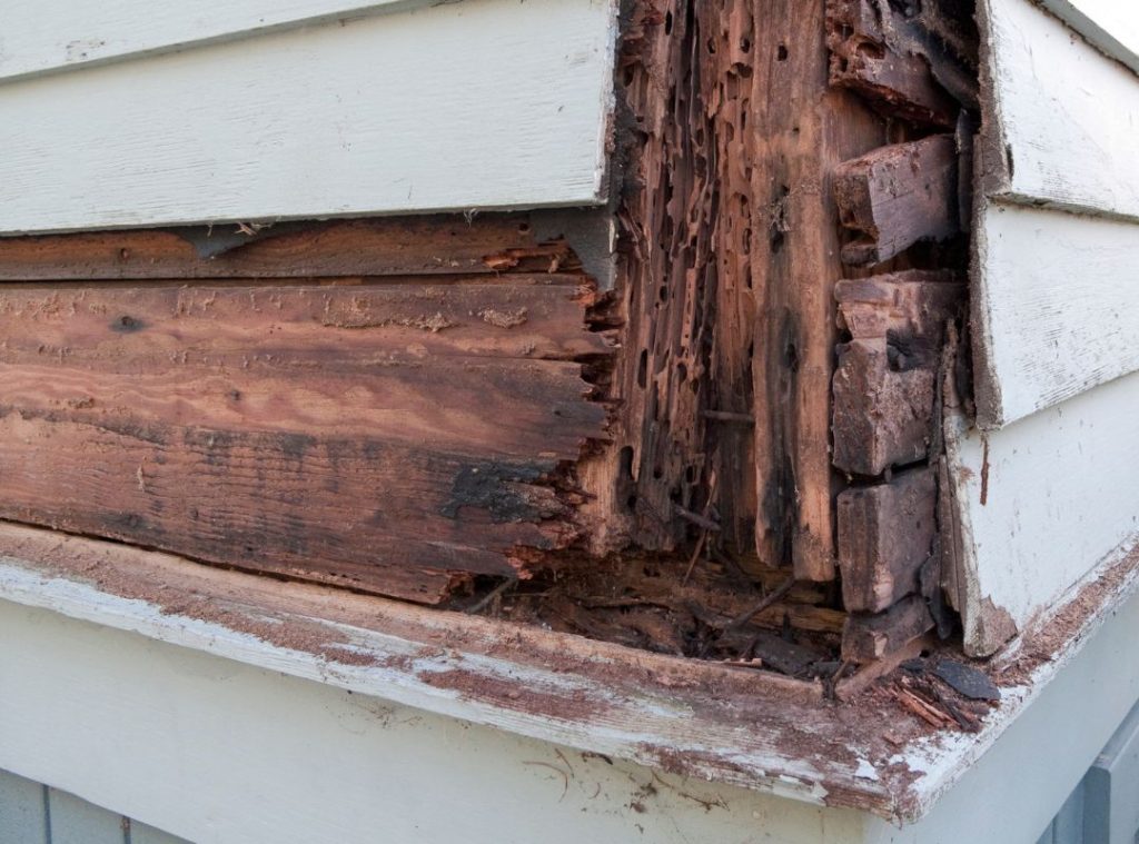 rotten wood siding.