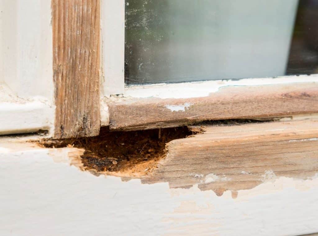 wood rot in windows.